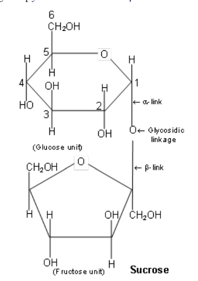 Composition of a-D-glucopyranose unit and a b-D-fructofuranose unit.