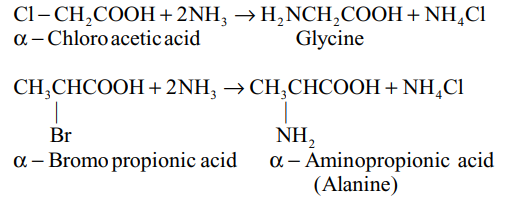 Amination of a –halo acids
