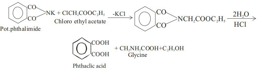 Gabriel phthalimide synthesis