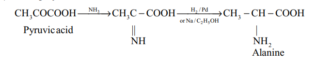 Knoop synthesis