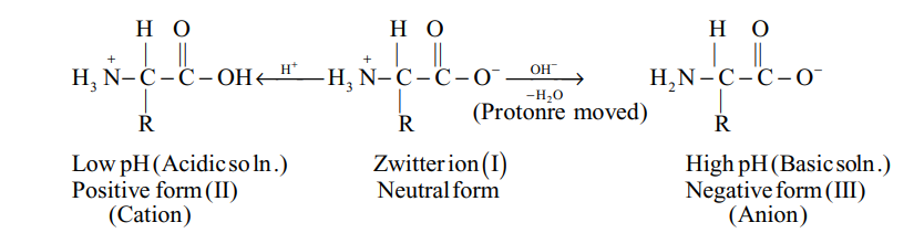Properties of Zwitter ion
