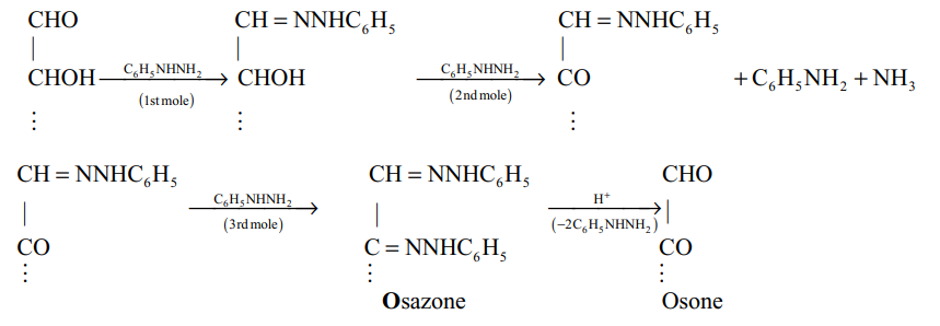 Reaction of carbohydrates with phenylhydrazine
