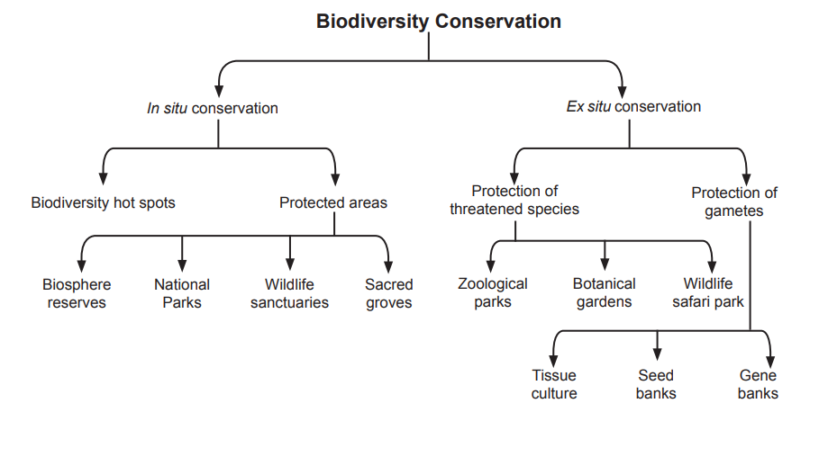 Conservation of Biodiversity