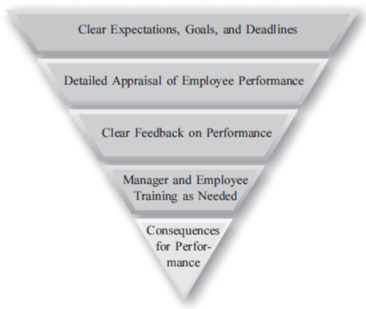 Components of Performance Focused Culture