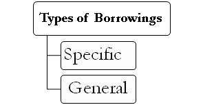 Types of Borrowings