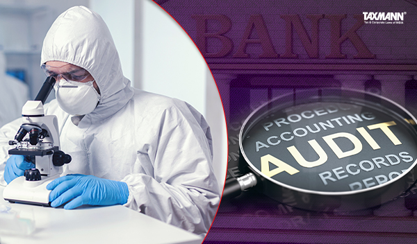 Forensic Audit Report